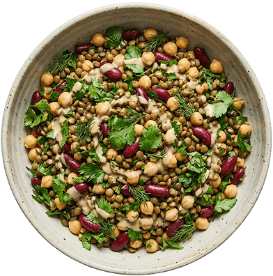 PROTIEN PULSE BOWL full